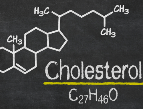 The Myth of Lowering Cholesterol